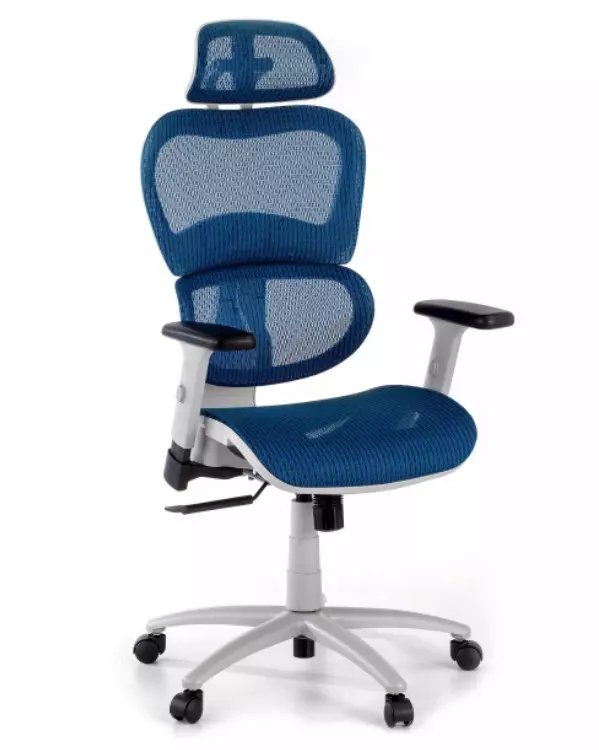 meilleures chaises ergonomiques pour le travail à domicile